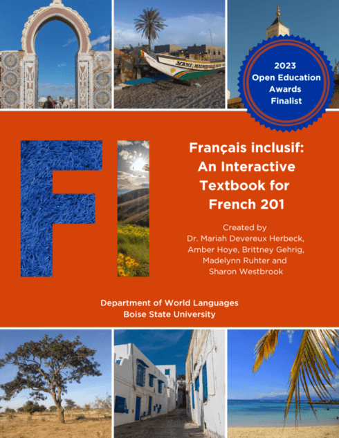 Français inclusif: An Interactive Textbook for French 202